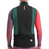 Performance Weste Sportful Apex Vest Strauch grün